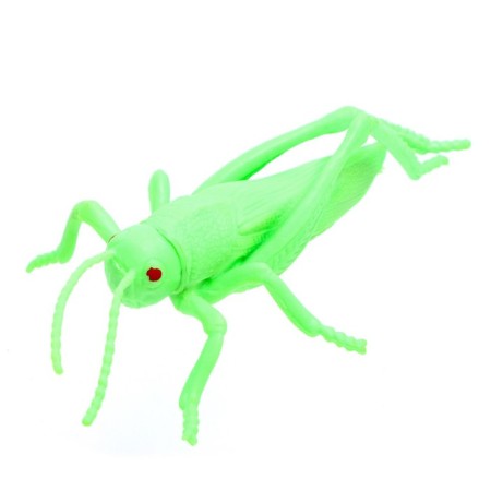 Animal set "Beetles and Spiders"-5