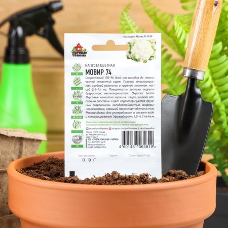 Cauline Cabbage Seeds "Movir 74", 0.1 g Series Hit X3-1