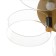 Kvorum chandelier LED 48W 3000-6000K gold 50x50x10cm