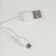 Table lamp with RGB backlight 1668/1 8xLED 1.5W USB AKB MIX 6x8x33 cm Risalux