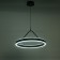 Salerno Light LED 60W 3000-6000K black and gold 50x50x100 cm