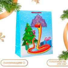 Gift Package 