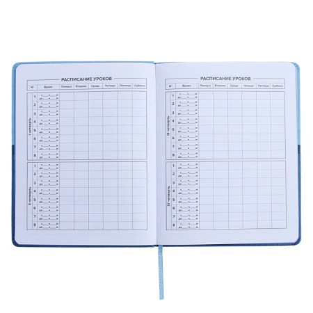 Universal Diary Grade 1-11, 48 sheets "Blue", a solid cover made of artificial leather, pancake embossing, Lasasse-7
