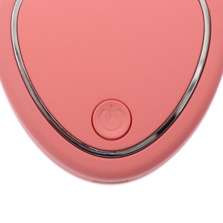 Facial massage LMZ-001, microticle, pink, from USB-4