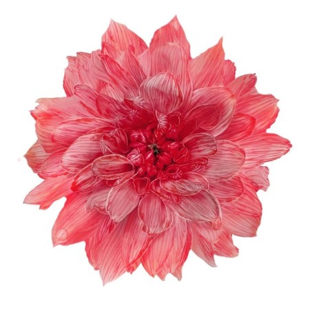 Floistic dye, for flowers, raspberry, 300 ml-2