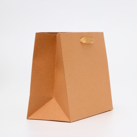 Laminated packet "Kraft", MS 23 × 18 × 10 cm-1