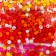 Round beads 6/0 "Colorful summer" 4 colors x 20 g 20x8x0.7 cm
