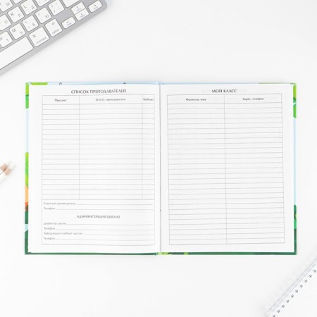 School Diary 1-4 Grade "September 1: Pirate", solid cover 7BC, glossy lamination, 48 sheets-3