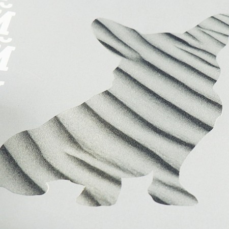 A notebook “Hipples”, 48 sheets in a cage, “English language”, coated cardboard, matte lamination, Touch varnish, block offset-1