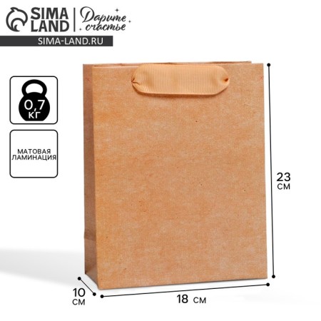 Gift package laminated, packaging, “craft”, MS 18 x 23 x 10 cm
