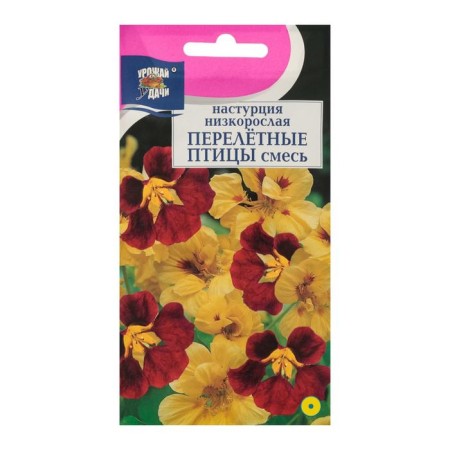 Seeds of flowers nasturtium bush. "Migratory birds", mixture, 0.6 g-2