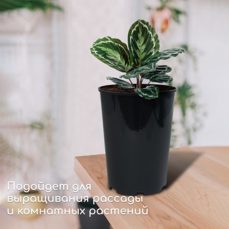 Pot for seedlings, for roses, 4 l, d = 18 cm, h = 21.5 cm, black, Greengo-2