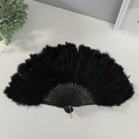 Fan plastic, feather "black" h = 26 cm 25 blades 3x50x26 cm