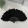 Fan plastic, feather "black" h = 26 cm 25 blades 3x50x26 cm