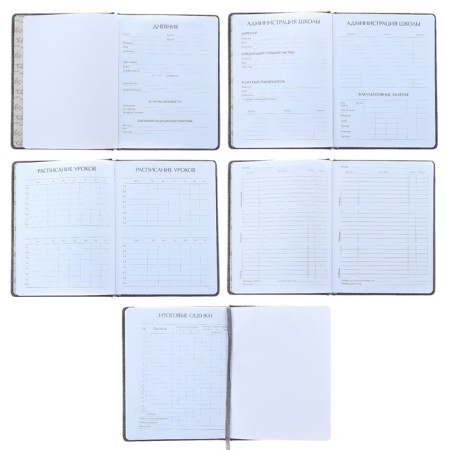 Universal diary for grades 1-11, 48 sheets of Sidney Nebraska, solid cover, artificial leather, thermoting, liesse, block 70 g/m2, brown-1