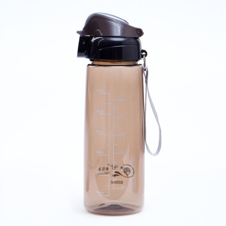 Water bottle, 600 ml, ivi, brown