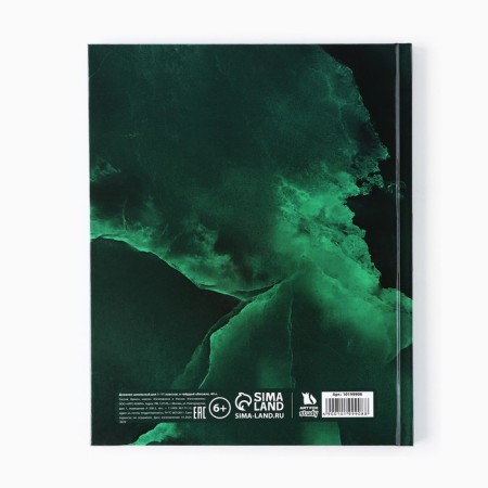 School diary for grade 1-11, in a solid cover, 40 l. "Emerald marble"-5