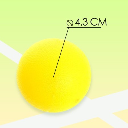 Set of missiles "Fleas the ball": 2 rackets, 1 ball, 1 Volan-2