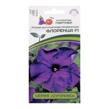 Floren Floren Florets, F1, semi -adolet, purple, 5 pcs