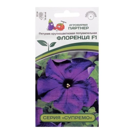 Floren Floren Florets, F1, semi -adolet, purple, 5 pcs