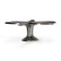 Cappio Pro Pro Pro Pro Dragonfly Handle 47 x 60 mm, the color is old. silver