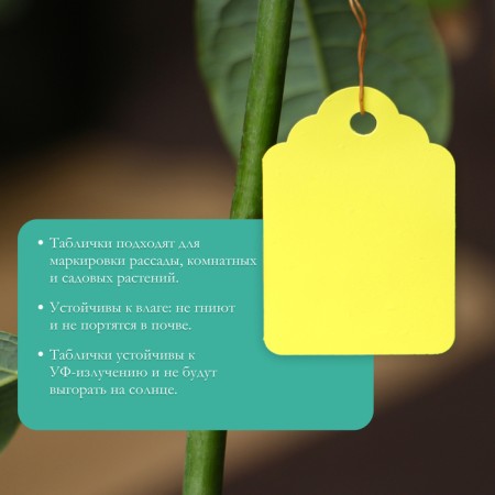 Garden tags for marking, 4.5 × 3 cm, set 20 pcs., Plastic, mix, Greengo-2