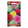 Georgina Seed Taush "Pomopone", mixture, 12 pcs