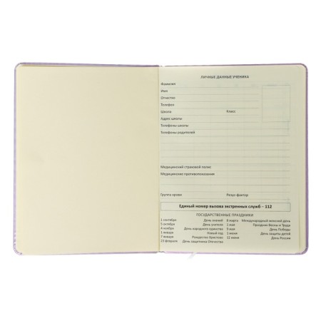 Universal diary for grade 1-11 Inspire, hard cover, artificial leather, foam rubber, lies, 80 g/m2-3