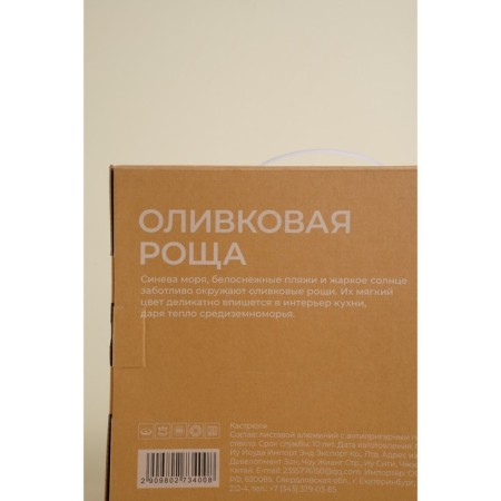 Poster - aluminum fried, d = 24 cm, h = 6.5 cm, anti -stick coating, induction, black color-10