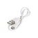 Panda LPR-20 mini-printer, Micro-USB cable. Panda is black and white.