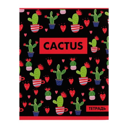 A set of notebooks of 5 pieces, 48 ​​sheets in the Calligrata cactus cage, covered cardboard, offset block-3