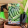 Seeds Cucumber Adam F1, 5 pcs.