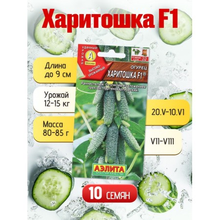 Set of seeds Early Self -Self -pollinated cucumbers-6