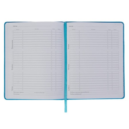 Universal diary for grades 1-11, 48 Velvet sheets, hard cover, artificial leather, thermoting, lies, block 70 g/m2, blue-2
