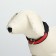 Collar with flash lighting 3 light modes, size S, Osh 35-43 x 2.5 cm red red