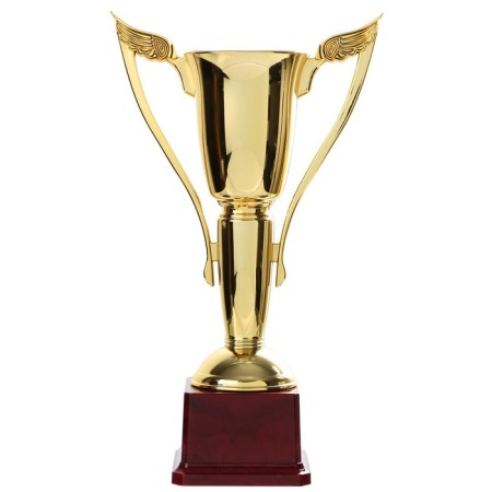 Cup 181b, award figure, gold, plastic stand, 28 × 14 × 7 cm-1