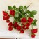 Bouquet "Bush mini" 3x21 cm, mix
