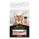 Dry food Pro Plan for cats, salmon/rice, 1.5 kg