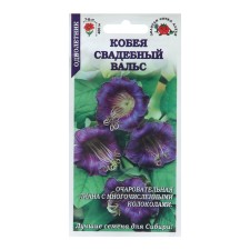 Cobey flowers 