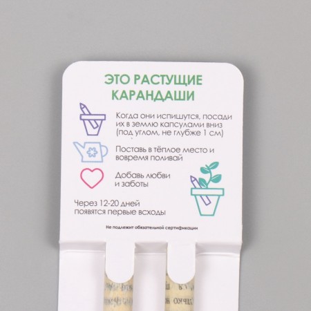 Growing gift pencils Mini "Basil + Mint" set 2 pcs.-2