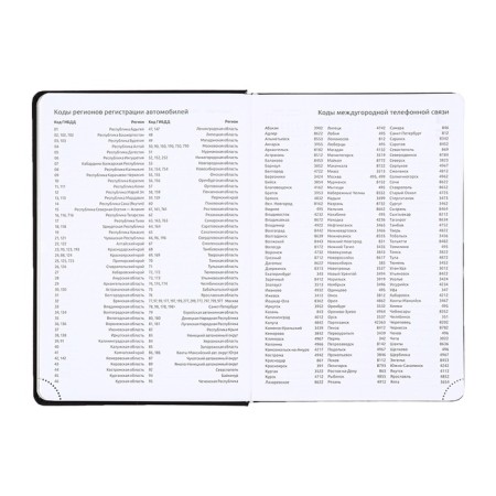 Dated diary 2025, Devente. Flag, B5 168 sheets, Devente. Duo, a hard cover to leatherette with foam rubber, silkography, perforation, liesse, block 70 g/m2-9