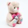 Soft toy "Bear", 25 cm, color mix
