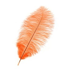 A pen for decor, length from 45 to 50 cm, the color is pale corral