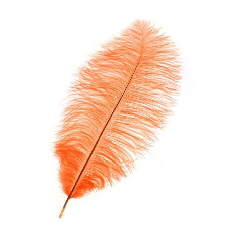 A pen for decor, length from 45 to 50 cm, the color is pale corral