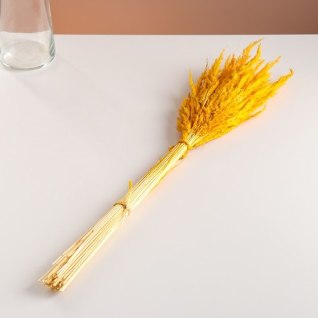 Set of dried flowers "Weinik", banch length 65 (+/- 6 cm), yellow-3