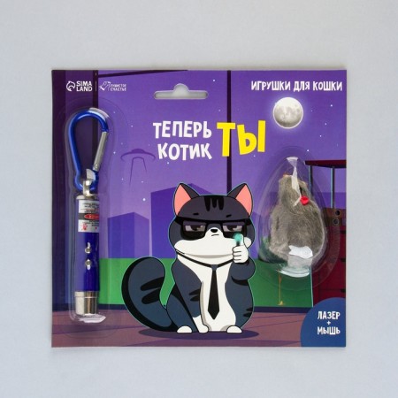 Toy for cats laser+mouse "Now the cat you"-1