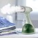 KitFort KT-9150, manual, 1500 W, 300 ml, 25 g/min, Green