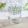 Glass glass for tea "Cacti", 250 ml