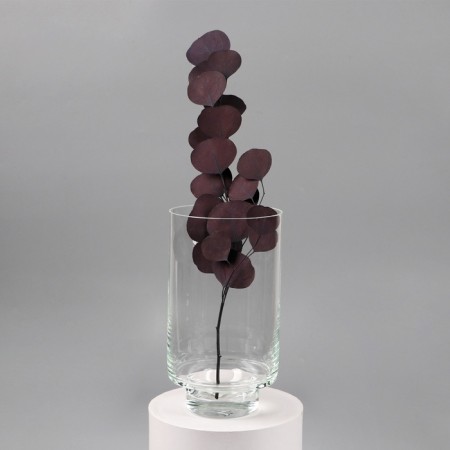 VAZ "Lola" 25x14 cm, 3.1l 2377-2