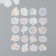 Sticker Plastic "Holography. Flowers" set 38 pcs 13x11.5x0.5 cm